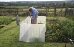Wind- & Wetterschutz -Pflanzensamen Rabatt haxnicks wind wetterschutz 1 st 1666054 de