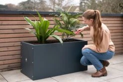 Pflanzkasten 50 X 150 X 50, Anthrazit 20 Pflanzkasten 50 X 150 X 50, Anthrazit -Pflanzensamen Rabatt herstera pflanzkasten 50 x 150 x 50 anthrazit 1294028 de