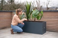 Pflanzkasten 50 X 150 X 50, Anthrazit 16 Pflanzkasten 50 X 150 X 50, Anthrazit -Pflanzensamen Rabatt herstera pflanzkasten 50 x 150 x 50 anthrazit 1294035 de