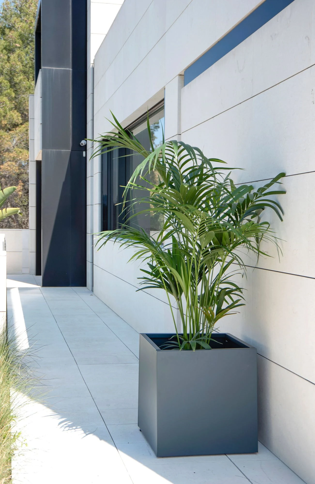 Pflanzkasten 50 X 150 X 50, Anthrazit 9 Pflanzkasten 50 X 150 X 50, Anthrazit – Bild 7