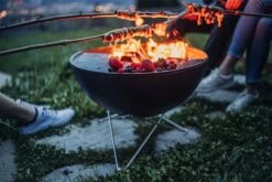 BOWL 57 Sternfuß 13 BOWL 57 Sternfuß -Pflanzensamen Rabatt hoefats bowl 57 sternfuss 1722285 de