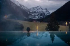 SPIN 120 Fackel, Silber -Pflanzensamen Rabatt hoefats spin 120 fackel silber 1 st 1672227 de