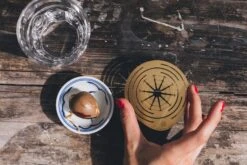 "Helios" Wachstumsscheibe Aus Messing -Pflanzensamen Rabatt house of thol helios wachstumsscheibe aus messing 1541419 de