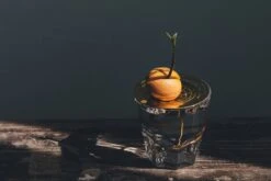 "Helios" Wachstumsscheibe Aus Messing -Pflanzensamen Rabatt house of thol helios wachstumsscheibe aus messing 1541431 de