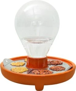 "Patella Crescenda" - Natürliches Keimset -Pflanzensamen Rabatt house of thol patella crescenda natuerliches keimset 1664660 de