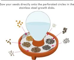 "Patella Crescenda" - Natürliches Keimset -Pflanzensamen Rabatt house of thol patella crescenda natuerliches keimset 1682825 de