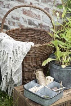 Allzweck-Kiste -Pflanzensamen Rabatt ib laursen allzweck kiste 1681803 de