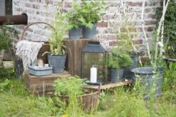 Allzweck-Kiste -Pflanzensamen Rabatt ib laursen allzweck kiste 1681806 de