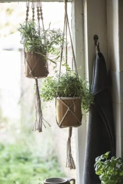 Aufhängung Für Blumentopf -Pflanzensamen Rabatt ib laursen aufhaengung fuer blumentopf 1681819 de