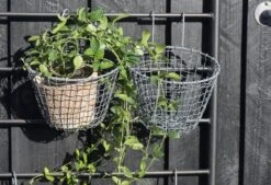 Hängeblumentopf -Pflanzensamen Rabatt ib laursen haengeblumentopf 1682694 de