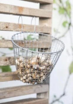 Hängeblumentopf -Pflanzensamen Rabatt ib laursen haengeblumentopf 1682696 de