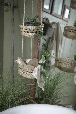 Hängekorb Trio 9 Hängekorb Trio -Pflanzensamen Rabatt ib laursen haengekorb trio 1681836 de