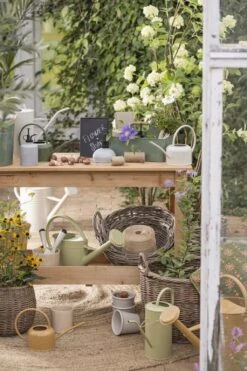 Metall-Kiste 6 Fächer, Grün 11 Metall-Kiste 6 Fächer, Grün -Pflanzensamen Rabatt ib laursen metall kiste 6 faecher zelena 1684016 de