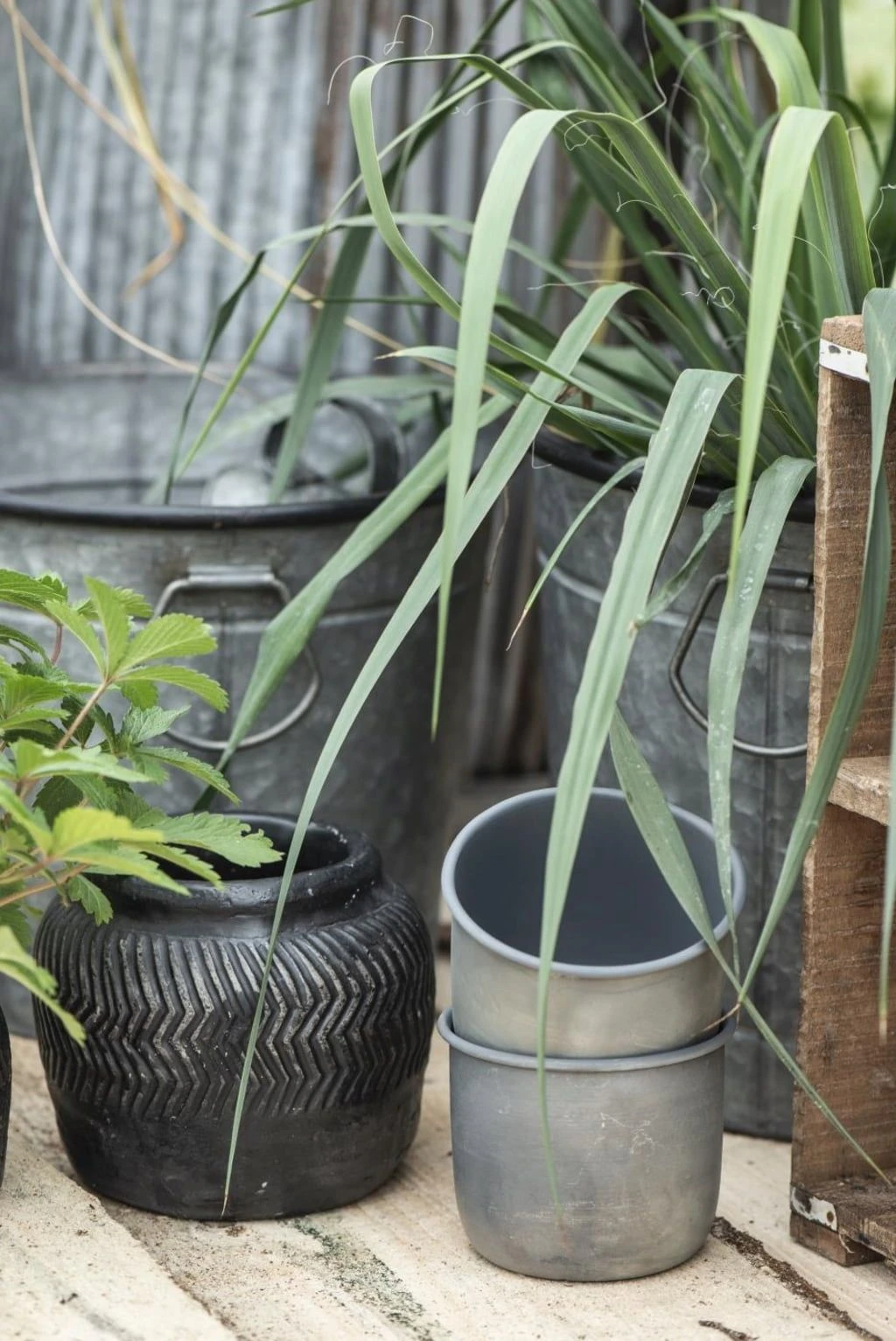 Topf, Medium 3 Topf, Medium