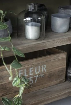 Topf, Medium 15 Topf, Medium -Pflanzensamen Rabatt ib laursen topf small 1682391 de