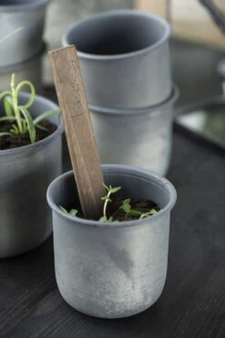 Topf, Medium 16 Topf, Medium -Pflanzensamen Rabatt ib laursen topf small 1682395 de