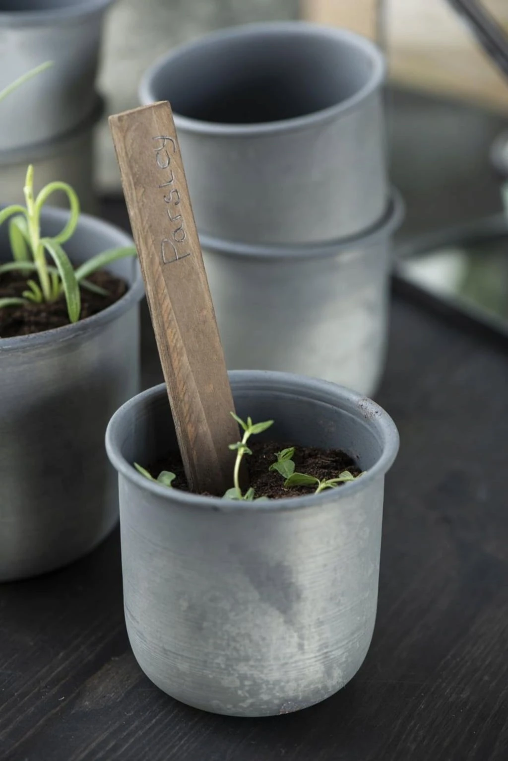 Topf, Medium 7 Topf, Medium – Bild 5