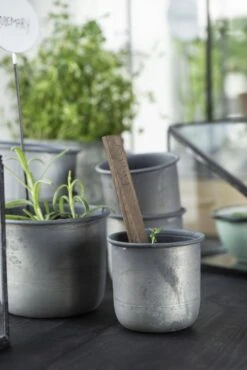 Topf, Medium 18 Topf, Medium -Pflanzensamen Rabatt ib laursen topf small 1682396 de