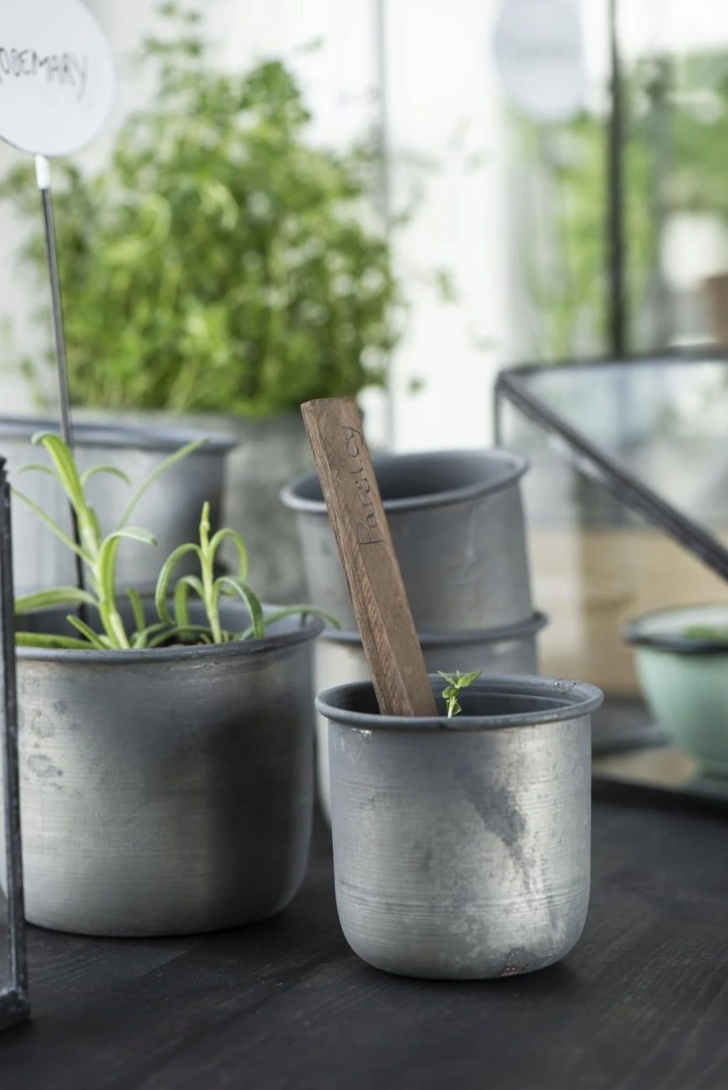 Topf, Medium 9 Topf, Medium – Bild 7