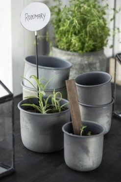 Topf, Medium 17 Topf, Medium -Pflanzensamen Rabatt ib laursen topf small 1682397 de