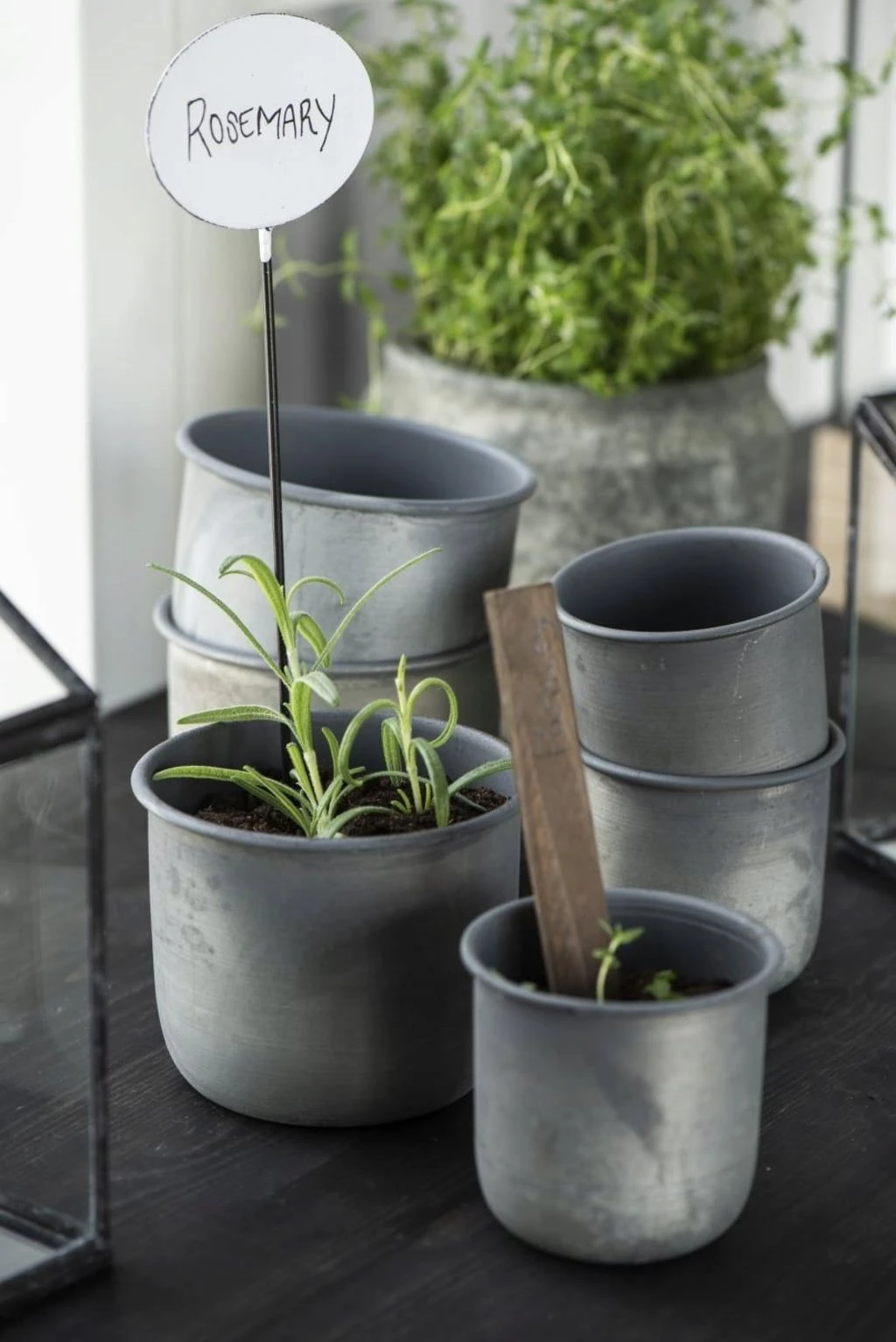 Topf, Medium 8 Topf, Medium – Bild 6