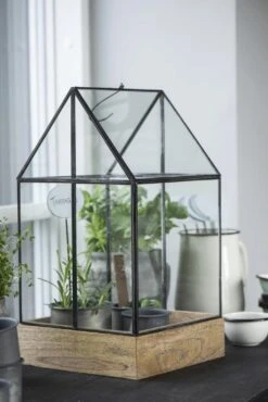 Topf, Medium 19 Topf, Medium -Pflanzensamen Rabatt ib laursen topf small 1682398 de