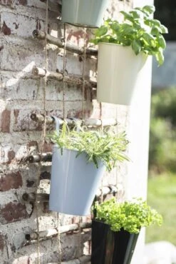 Wandspalier Für Töpfe & Kletterpflanzen -Pflanzensamen Rabatt ib laursen wandspalier fuer toepfe kletterpflanzen 1681797 de