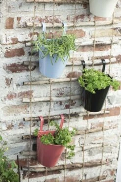 Wandspalier Für Töpfe & Kletterpflanzen -Pflanzensamen Rabatt ib laursen wandspalier fuer toepfe kletterpflanzen 1681798 de