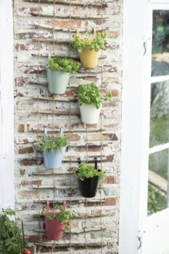 Wandspalier Für Töpfe & Kletterpflanzen -Pflanzensamen Rabatt ib laursen wandspalier fuer toepfe kletterpflanzen 1681799 de