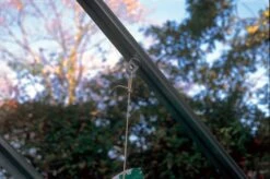 Juliana Aufhängevorrichtungen, 20 Stück -Pflanzensamen Rabatt juliana aufhaengevorrichtungen 20 st 1680489 de