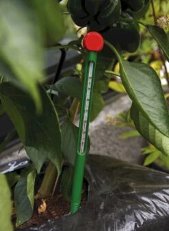 Juliana Erdbodenthermometer -Pflanzensamen Rabatt juliana erdbodenthermometer 1 stk 1439074 de