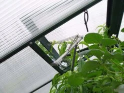 Juliana Fensteröffner Für Gewächshaus - Univent Automatisch 9 Juliana Fensteröffner Für Gewächshaus - Univent Automatisch -Pflanzensamen Rabatt juliana fensteroeffner fuer gewaechshaus univent automatisch 1 st 1680464 de