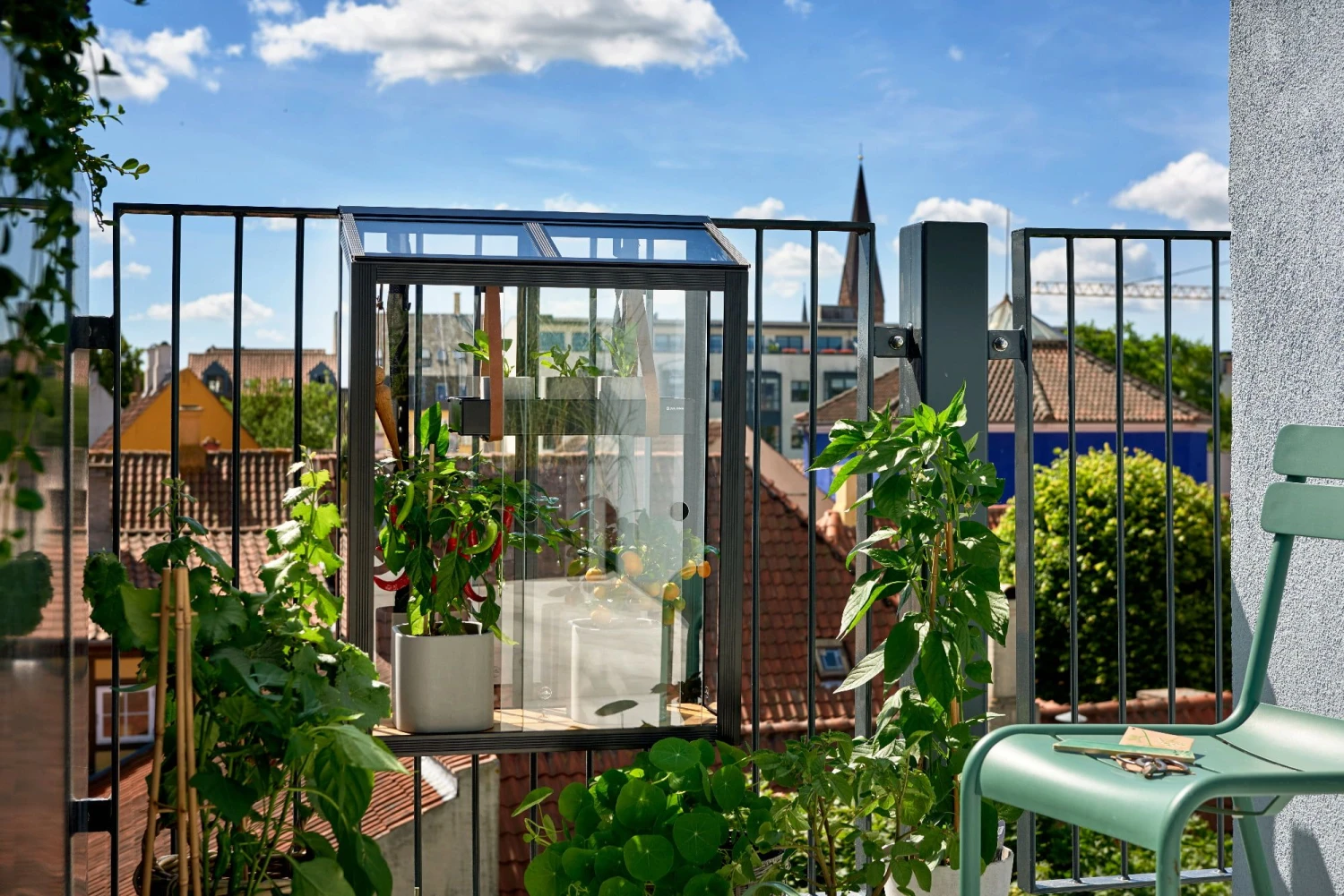 Juliana Gewächshaus Urban Für Den Ballkon 6 Juliana Gewächshaus Urban Für Den Ballkon – Bild 4