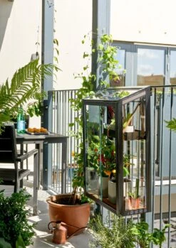 Juliana Gewächshaus Urban Für Den Ballkon 13 Juliana Gewächshaus Urban Für Den Ballkon -Pflanzensamen Rabatt juliana gewaechshaus urban fuer den ballkon 1421665 de