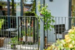 Juliana Gewächshaus Urban Für Den Ballkon 17 Juliana Gewächshaus Urban Für Den Ballkon -Pflanzensamen Rabatt juliana gewaechshaus urban fuer den ballkon 1421686 de