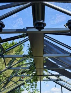 Juliana Gipfelregal Für Gewächshaus -Pflanzensamen Rabatt juliana gipfelregal fuer gewaechshaus 1 stk 1428570 de