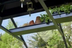 Juliana Gipfelregal Für Gewächshaus -Pflanzensamen Rabatt juliana gipfelregal fuer gewaechshaus 1 stk 1428591 de