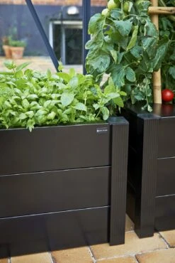 Juliana Pflanzkasten -Pflanzensamen Rabatt juliana pflanzkasten 1 stk 1400706 de