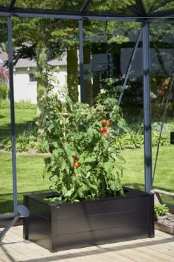 Juliana Pflanzkasten -Pflanzensamen Rabatt juliana pflanzkasten 1 stk 1400775 de