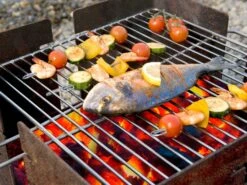 Feuerstelle "fidibus" 17 Feuerstelle "fidibus" -Pflanzensamen Rabatt keilbach feuerstelle fidibus 1 k 1000831 de