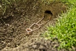 Badische Draht-Wühlmausfalle