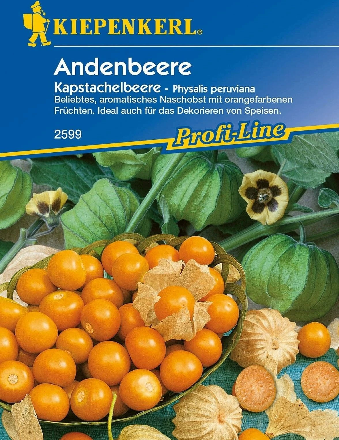 Andenbeere 3 Andenbeere