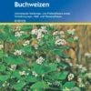 Buchweizen, 50 G 2 Buchweizen, 50 G -Pflanzensamen Rabatt kiepenkerl buchweizen 1544930 de