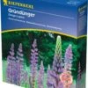 Dünge-Lupine, 1 Kg 1 Dünge-Lupine, 1 Kg -Pflanzensamen Rabatt kiepenkerl duenge lupine 1 kg 1519364 de