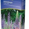 Dünge-Lupine 2 Kg, 2 Kg -Pflanzensamen Rabatt kiepenkerl duenge lupine 2 kg 1646786 de