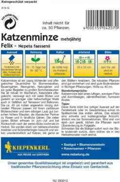 Katzenminze "Felix"
