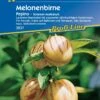 Melonenbirne "Pepino" -Pflanzensamen Rabatt kiepenkerl melonenbirne pepino 1 pkg 1556883 de