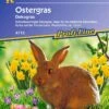 Ostergras -Pflanzensamen Rabatt kiepenkerl ostergras 1 packung 449772 de