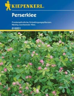 Perserklee "Gorby" -Pflanzensamen Rabatt kiepenkerl perserklee gorby 1 pkt 1203584 de