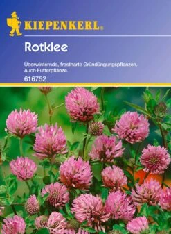 Rotklee -Pflanzensamen Rabatt kiepenkerl rotklee 1 packung 453642 de